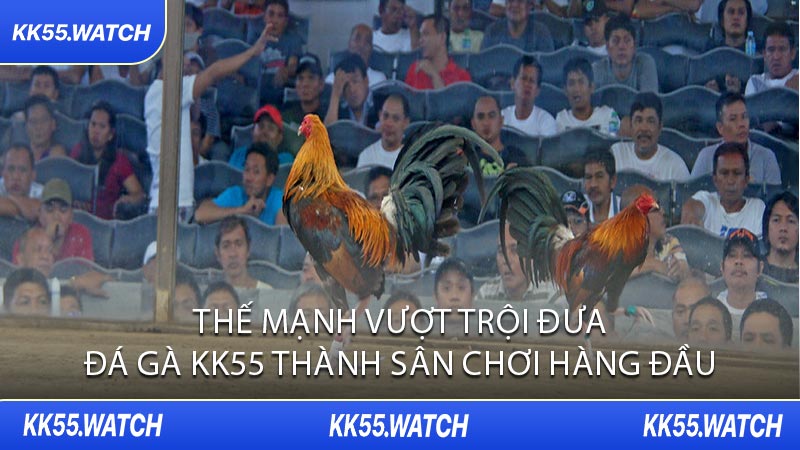 Thế Mạnh Vượt Trội Đưa Đá Gà KK55 Thành Sân Chơi Hàng Đầu