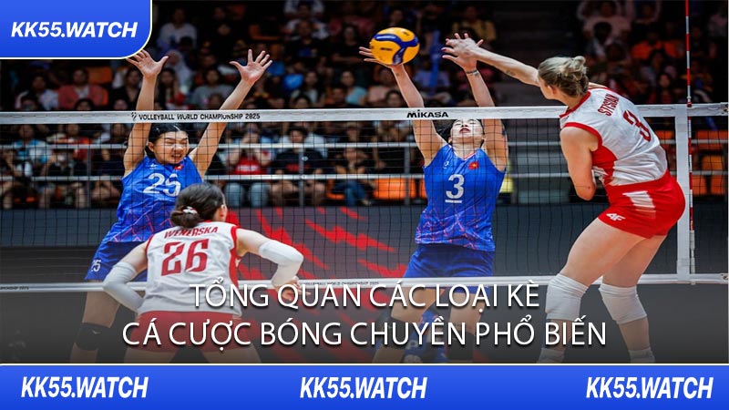Tổng Quan Các Loại Kèo Cá Cược Bóng Chuyền Phổ Biến